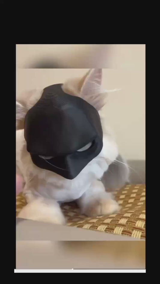 Bat cat mask, Cat Cosplay hat, big size